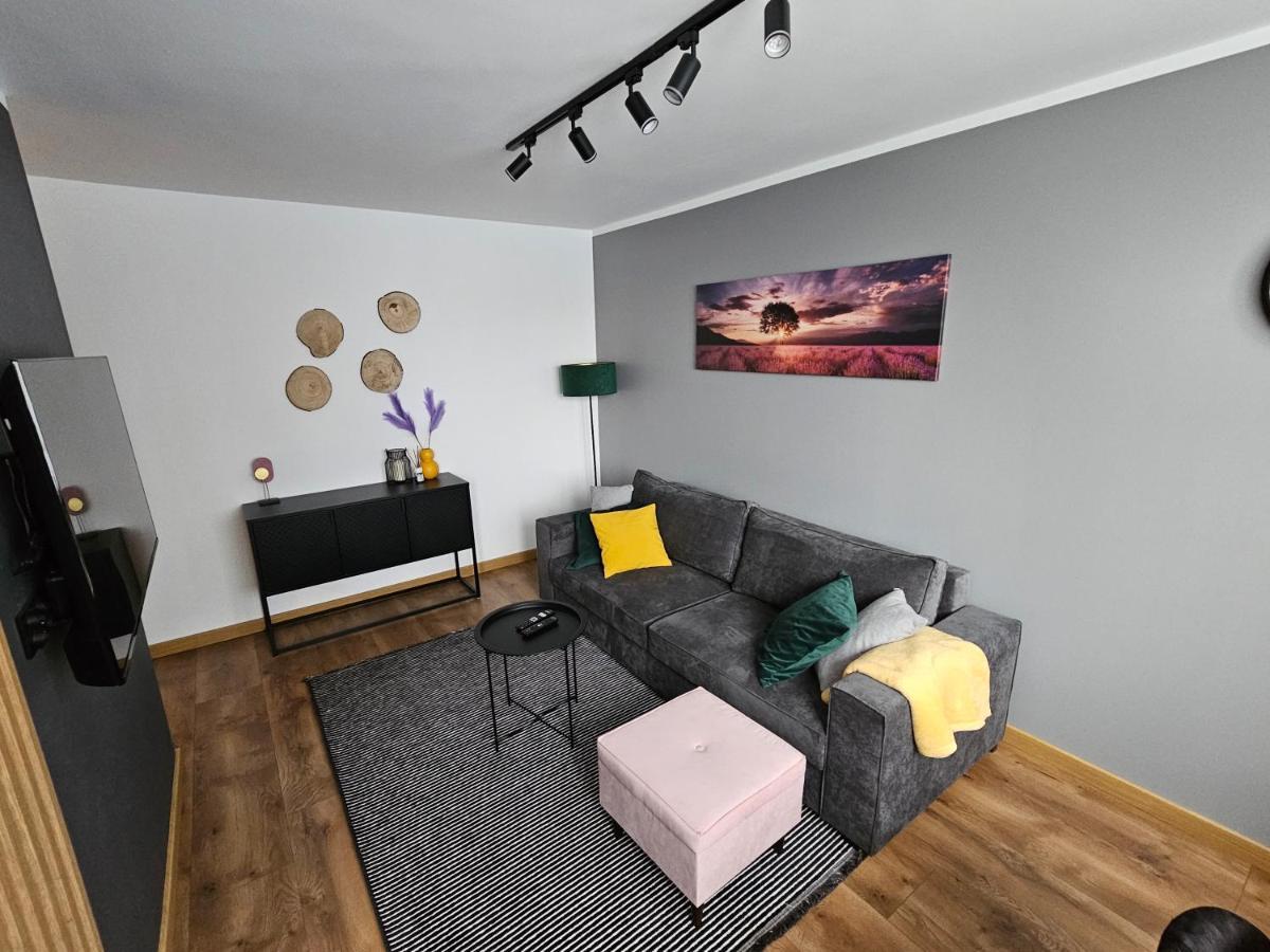 Apartament Leszczynska 29 Bielsko-Biala Exterior foto