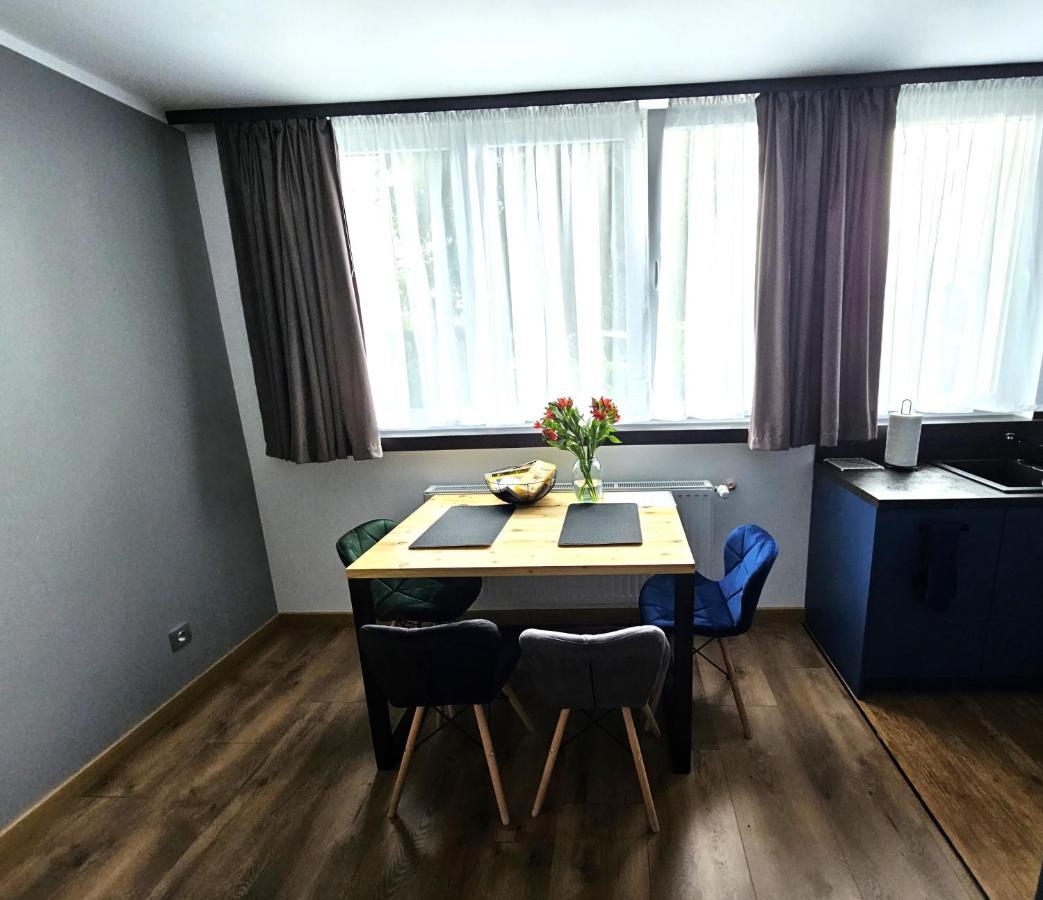 Apartament Leszczynska 29 Bielsko-Biala Exterior foto